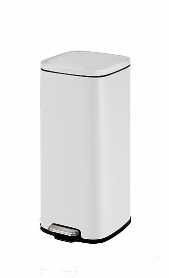 �� ���� 30 ���� STELLA ��� �� ���� EKO