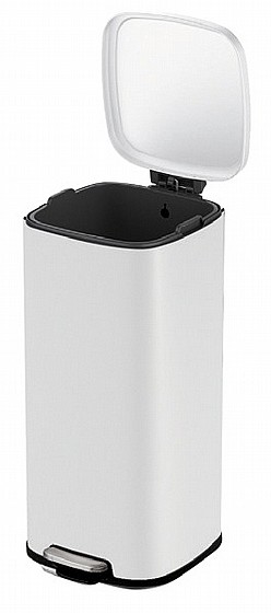 �� ���� 30 ���� STELLA ��� �� ���� EKO